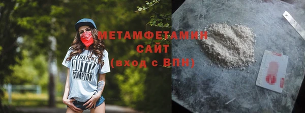 шишки Белая Холуница