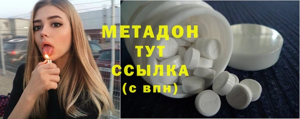 хмурый Бикин