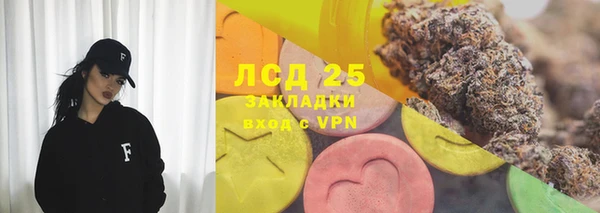 сатива Бежецк