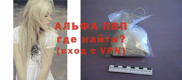 шишки Белая Холуница