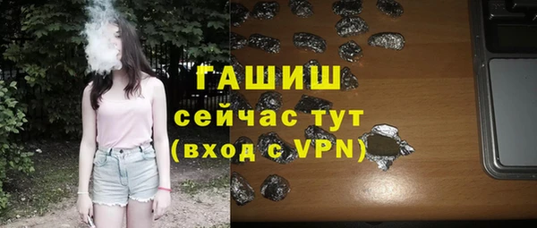 шишки Белая Холуница