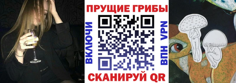 kraken как зайти  Заозёрск  Псилоцибиновые грибы MAGIC MUSHROOMS 